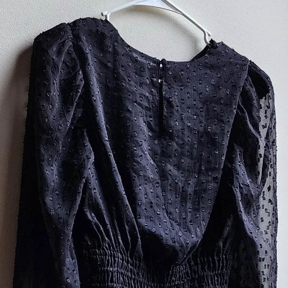 Express Sheer Black Cropped Blouse Size XS